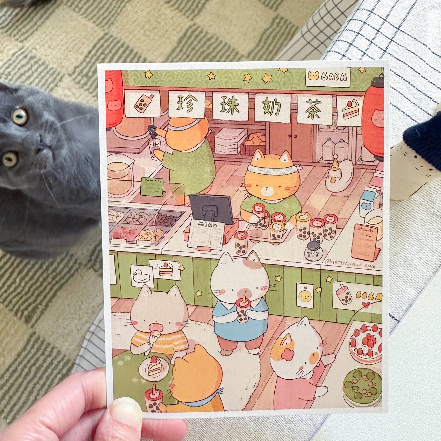 boba cats print